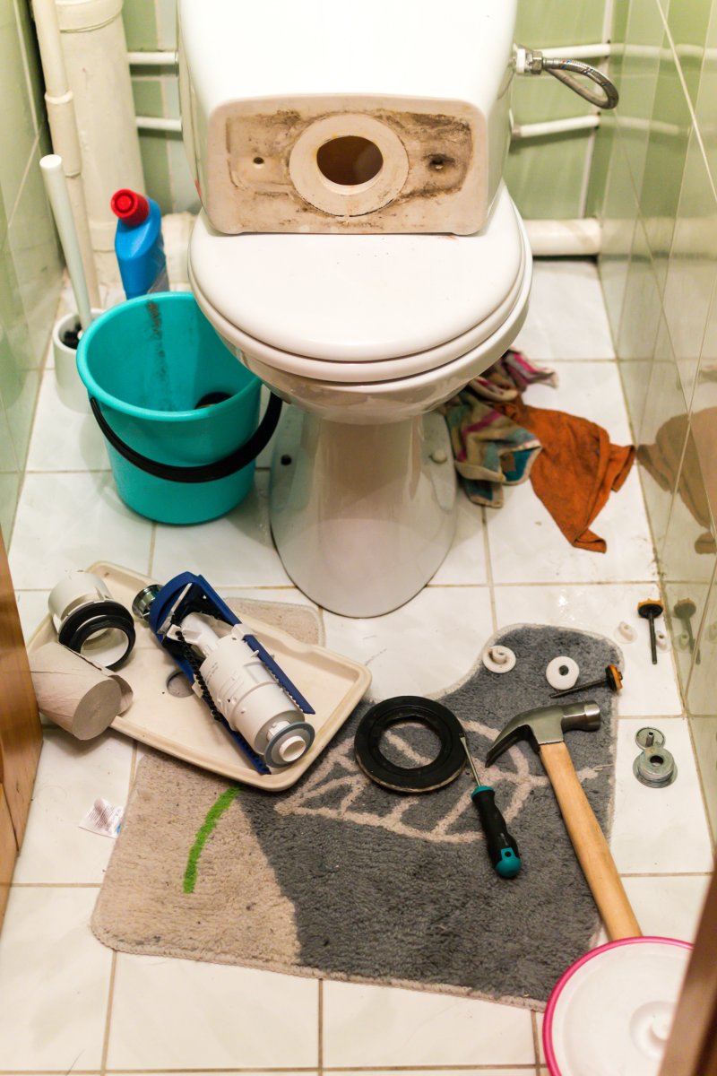 New toilet being installed in a Bloomsbury bathroom